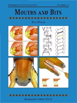 cover image of MOUTHS AND BITS